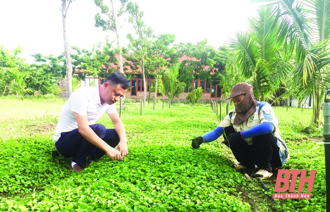 Nông nghiệp hữu cơ giúp phát triển kinh tế bền vững  Báo Phụ Nữ Việt Nam
