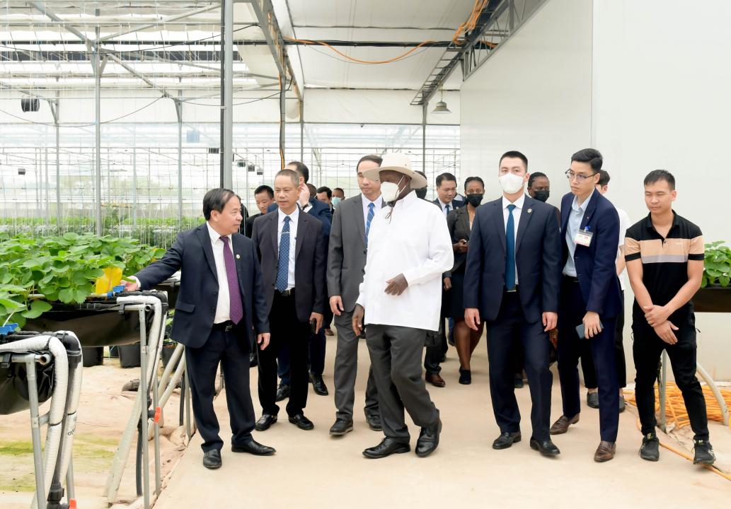 Tổng thống Yoweri Kaguta Museveni và đoàn thăm khu nhà lưới công nghệ cao của Viện Khoa học Nông nghiệp Việt Nam.