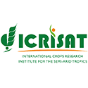 Viện Nghiên cứu Cây trồng Quốc tế cho vùng Nhiệt đới Bán khô hạn