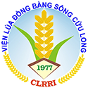 Viện Lúa Đồng bằng sông Cửu Long (CLRRI)