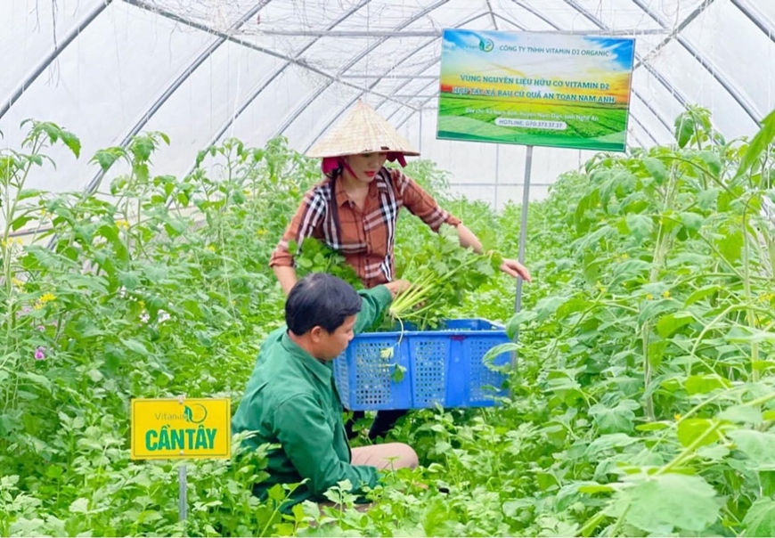 Thúc đẩy phát triển nông nghiệp hữu cơ tại Nghệ An  Viện Khoa học Nông  nghiệp Việt Nam